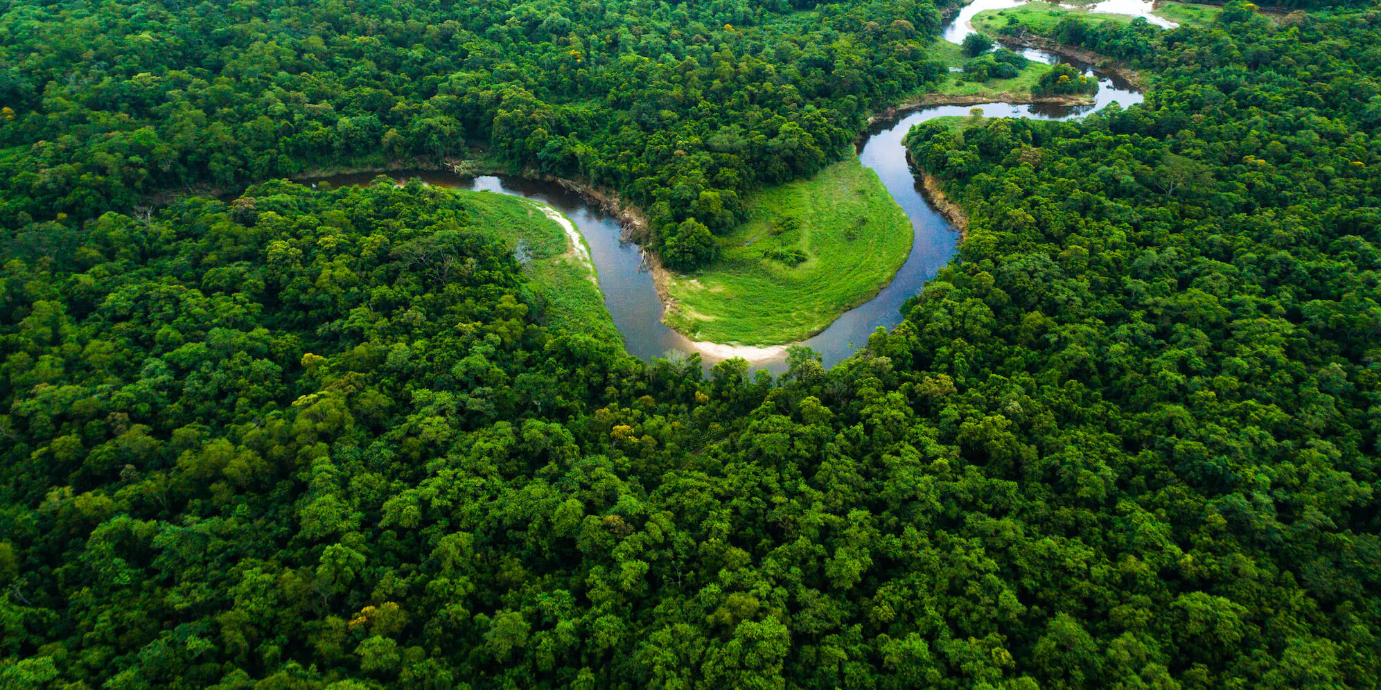 Style That Restores the Earth